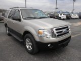 2007 Ford Expedition XLT 4x4 Front 3/4 View