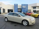 2010 Chevrolet Malibu LS Sedan