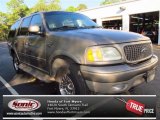 Arizona Beige Metallic Ford Expedition in 2002