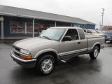 2002 Light Pewter Metallic Chevrolet S10 LS Extended Cab 4x4 #73989682