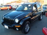 2004 Black Clearcoat Jeep Liberty Limited 4x4 #73989270