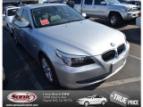 2010 Titanium Silver Metallic BMW 5 Series 528i Sedan #73989255