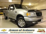 2002 Silver Metallic Ford F150 XLT SuperCab 4x4 #74039655