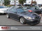 2004 Dark Shadow Grey Metallic Ford Mustang Mach 1 Coupe #74039702