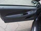 2004 Ford Mustang Mach 1 Coupe Door Panel