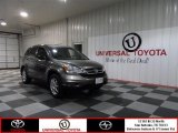 2010 Urban Titanium Metallic Honda CR-V LX #74095357