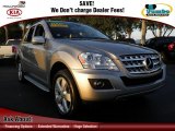 2009 Pewter Metallic Mercedes-Benz ML 350 #74095944