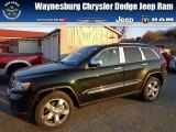 2013 Black Forest Green Pearl Jeep Grand Cherokee Limited 4x4 #74095528