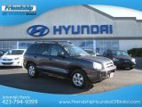 2005 Pewter Gray Hyundai Santa Fe GLS 4WD #74095385