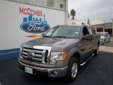 2010 Sterling Grey Metallic Ford F150 XLT SuperCab #74156908