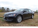 2013 Black Volkswagen Passat 2.5L SEL #74217749