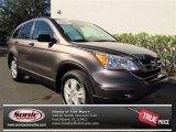 2010 Urban Titanium Metallic Honda CR-V EX #74247143