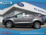 2013 Sterling Gray Metallic Ford Escape SEL 1.6L EcoBoost #74256144