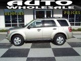 2010 Gold Leaf Metallic Ford Escape XLT V6 #74256424