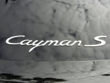 2008 Porsche Cayman S Marks and Logos