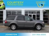 2010 Sterling Grey Metallic Ford Expedition XLT #74256162