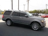 Sterling Gray Ford Expedition in 2013