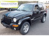 2004 Black Clearcoat Jeep Liberty Limited 4x4 #74307661