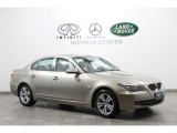 2010 Platinum Bronze Metallic BMW 5 Series 528i xDrive Sedan #74308277