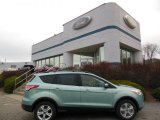 2013 Frosted Glass Metallic Ford Escape SE 1.6L EcoBoost 4WD #74307505