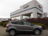 2013 Sterling Gray Metallic Ford Escape SEL 1.6L EcoBoost 4WD #74307504