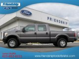 Sterling Gray Metallic Ford F250 Super Duty in 2013
