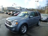 2011 Steel Blue Metallic Ford Escape Limited 4WD #74308014