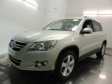 2010 Volkswagen Tiguan SE