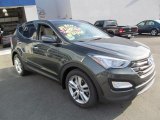 Juniper Green Hyundai Santa Fe in 2013