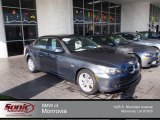 2010 Platinum Grey Metallic BMW 5 Series 528i Sedan #74434053
