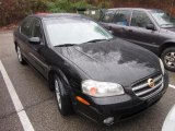 2002 Super Black Nissan Maxima SE #74543994