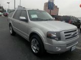 2010 Ingot Silver Metallic Ford Expedition Limited #74543755
