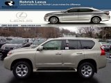 2013 Lexus GX 460