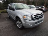2010 Ingot Silver Metallic Ford Expedition XLT #74572703