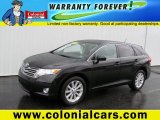 2009 Black Toyota Venza I4 #74572981