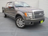 2010 Sterling Grey Metallic Ford F150 Platinum SuperCrew #74572682