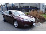 2010 Basque Red Pearl Acura TL 3.5 #74624478