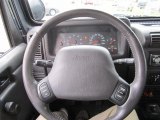 2002 Jeep Wrangler X 4x4 Steering Wheel