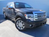 2013 Tuxedo Black Metallic Ford F150 Platinum SuperCrew #74684371