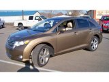 2009 Golden Umber Mica Toyota Venza V6 AWD #74684210