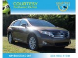 2010 Sunset Bronze Mica Toyota Venza I4 #74684510