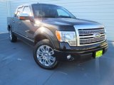 2012 Tuxedo Black Metallic Ford F150 Platinum SuperCrew #74732567