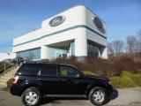 2010 Ford Escape XLT V6 4WD