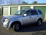 2009 Brilliant Silver Metallic Ford Escape Limited V6 4WD #74786625