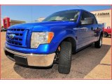 2009 Blue Flame Metallic Ford F150 XLT SuperCrew #7483187