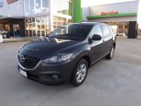 2013 Meteor Gray Mica Mazda CX-9 Touring #74879660