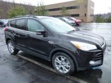 Kodiak Brown Metallic Ford Escape in 2013