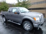 2013 Sterling Gray Metallic Ford F150 XLT SuperCab 4x4 #74925159
