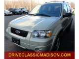 2005 Gold Ash Metallic Ford Escape Limited 4WD #74925458