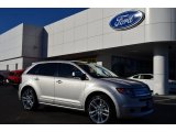 Brilliant Silver Metallic Ford Edge in 2009